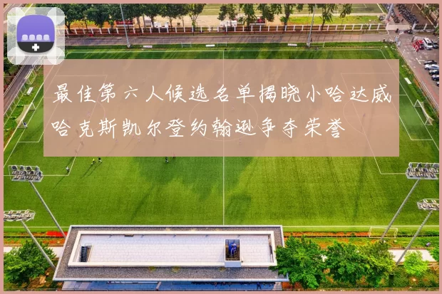 最佳第六人候选名单揭晓小哈达威哈克斯凯尔登约翰逊争夺荣誉